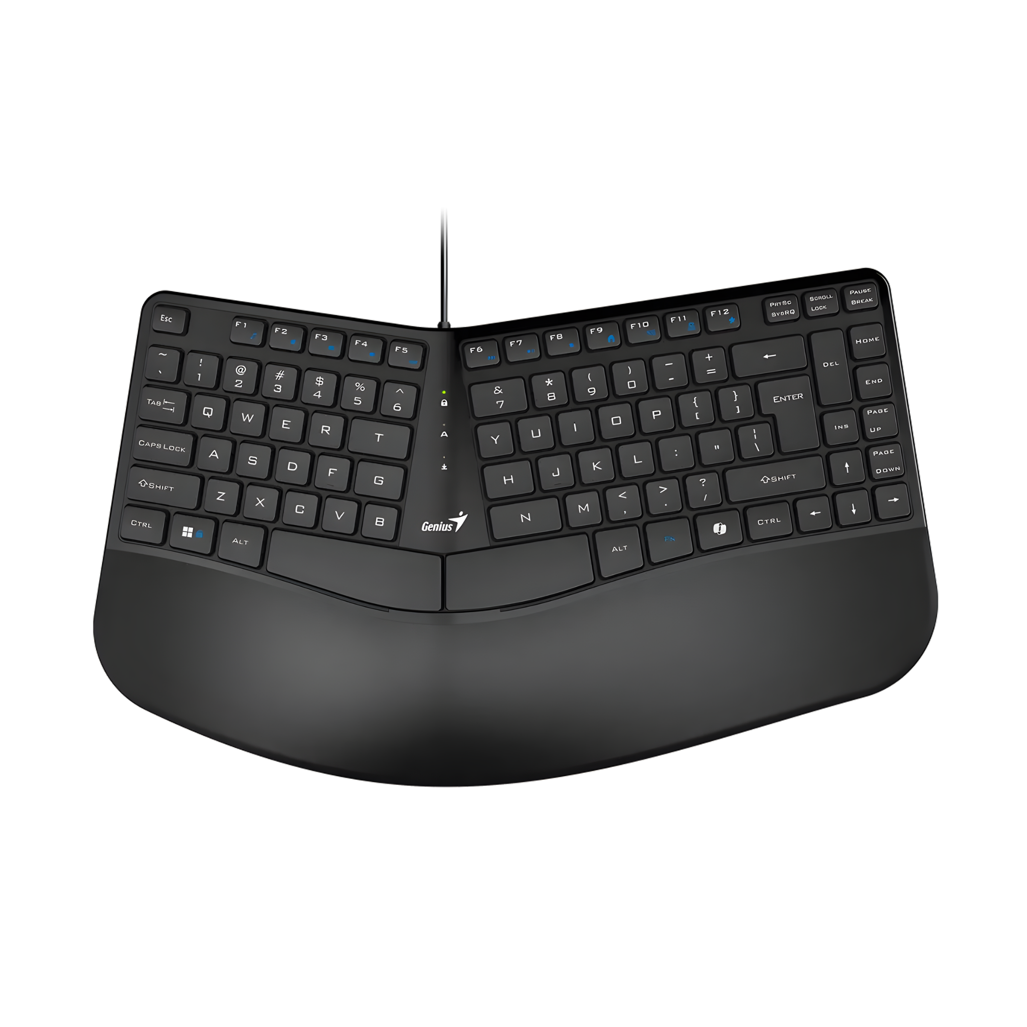 TECLADO ERGONOMICO ALAMBRICO CON REPOSAMUÑECAS GENIUS ERGO KB-700