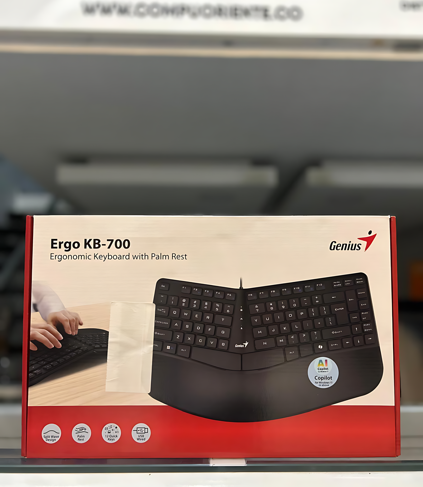TECLADO ERGONOMICO ALAMBRICO CON REPOSAMUÑECAS GENIUS ERGO KB-700