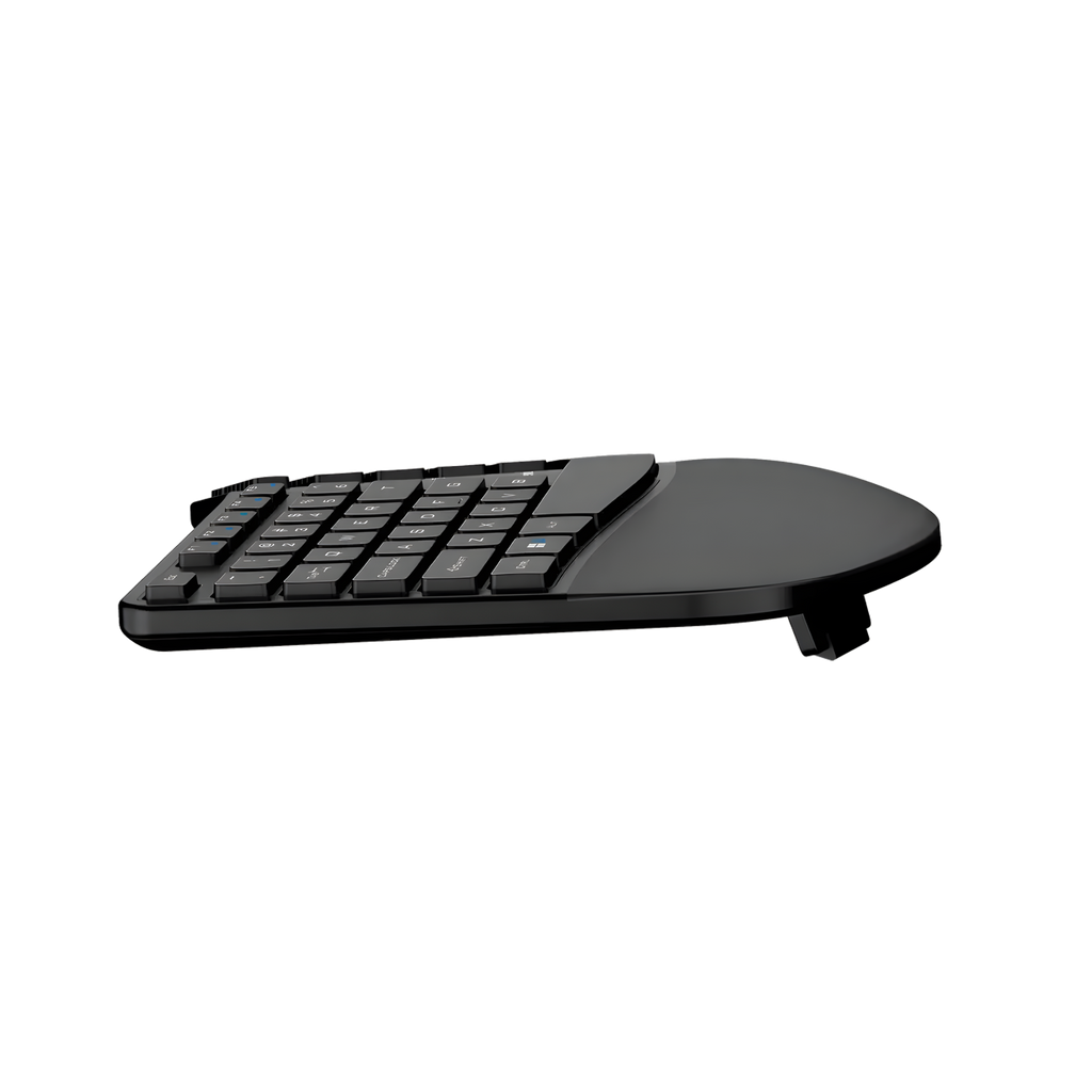 TECLADO ERGONOMICO ALAMBRICO CON REPOSAMUÑECAS GENIUS ERGO KB-700